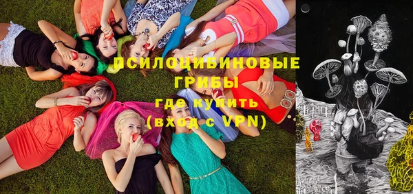 шишки Куйбышев