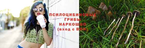 mdpv Шадринск