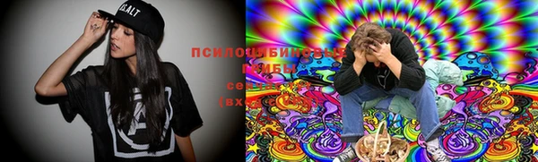 шишки Куйбышев