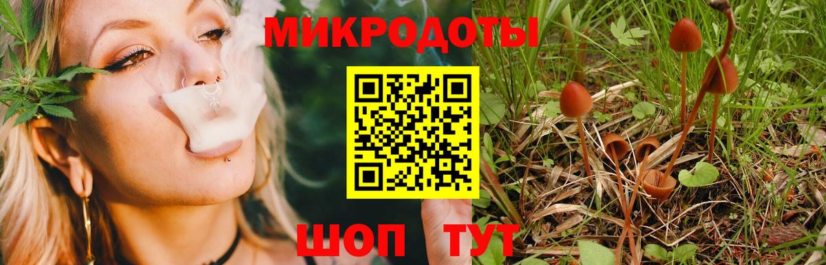 Галлюциногенные грибы Cubensis Янаул